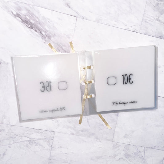 Mini Budget Challenge