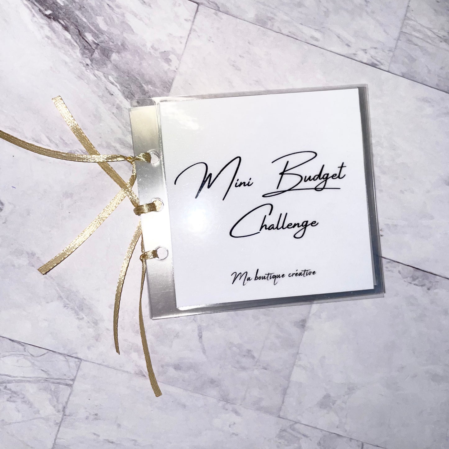 Mini Budget Challenge